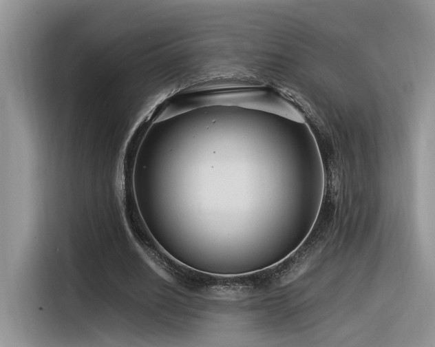 X0000116370630200912021154