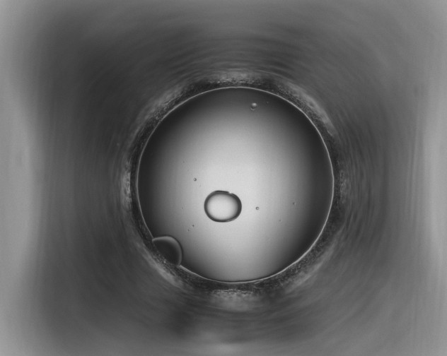 X0000116370633200912021154