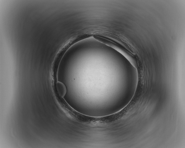 X0000116370634200912021154