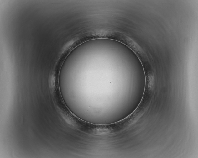 X0000116370636200912021154