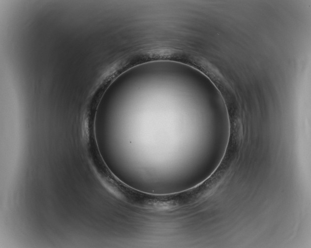 X0000116370638200912021154