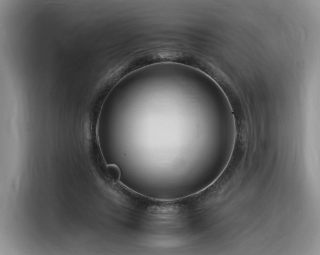 X0000116370639200912021154