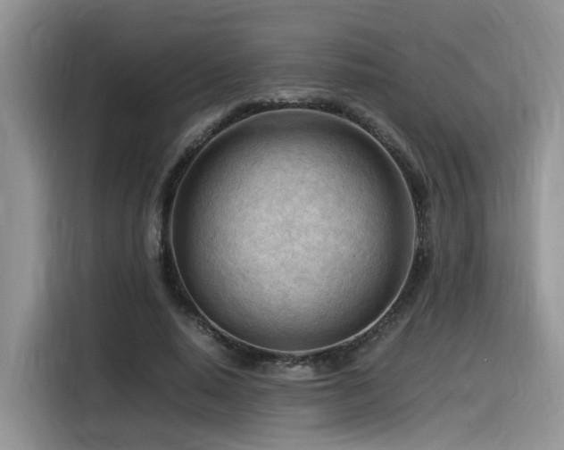X0000116370640200912021154