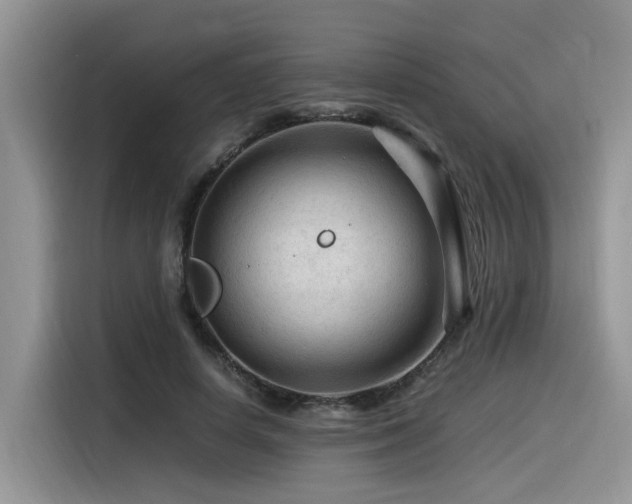 X0000116370642200912021154