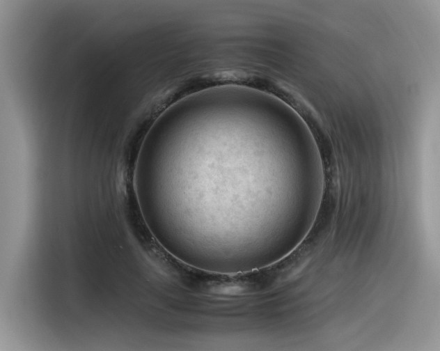 X0000116370643200912021154
