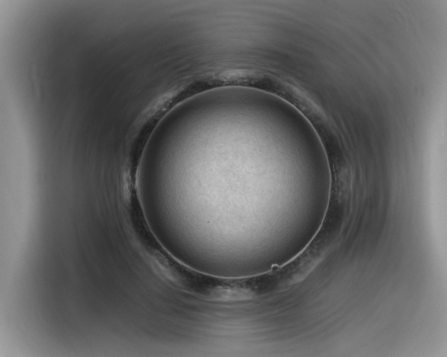 X0000116370644200912021154