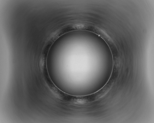 X0000116370645200912021154