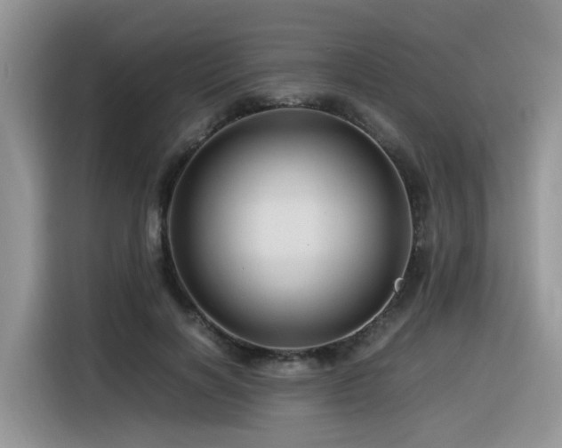 X0000116370646200912021154