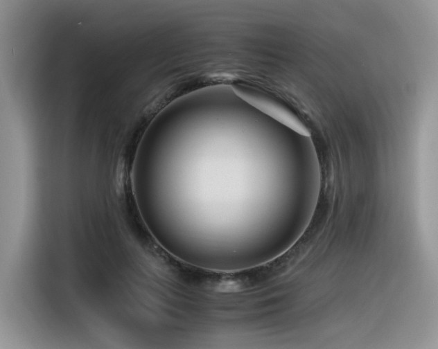 X0000116370647200912021154