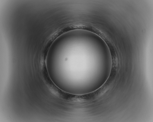 X0000116370648200912021154