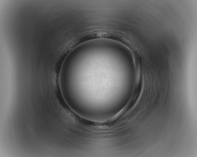 X0000116370650200912021154