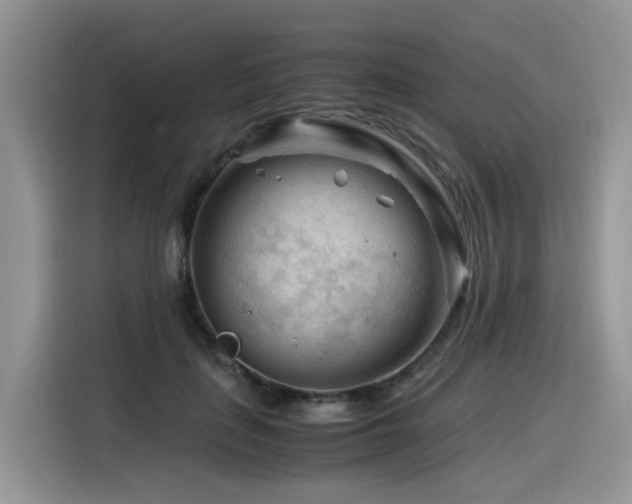 X0000116370651200912021154