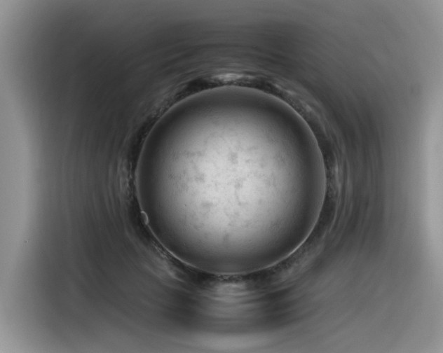 X0000116370653200912021154