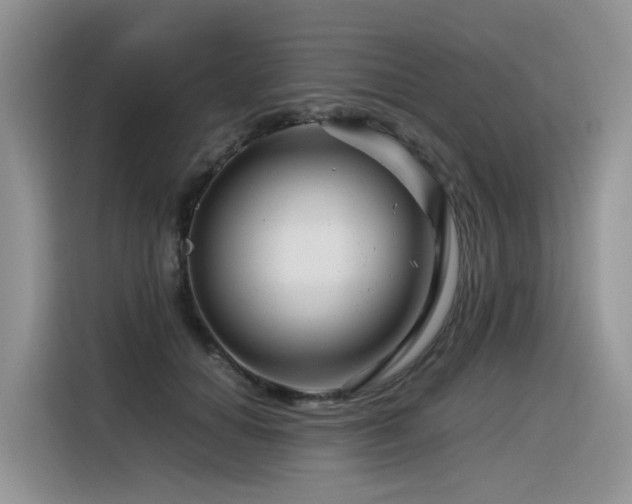 X0000116370654200912021154