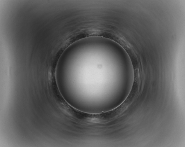 X0000116370655200912021154