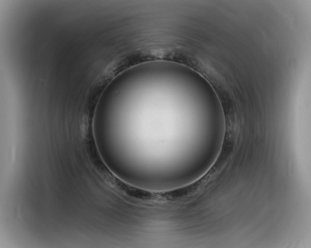 X0000116370656200912021154
