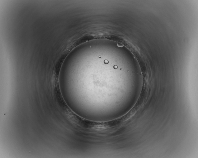 X0000116370659200912021154