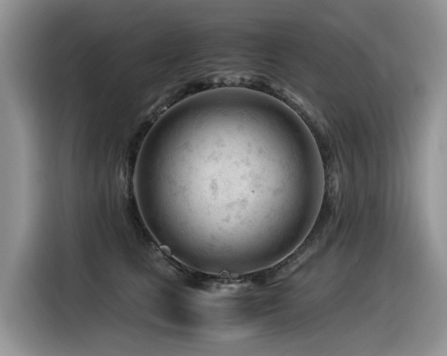 X0000116370661200912021154
