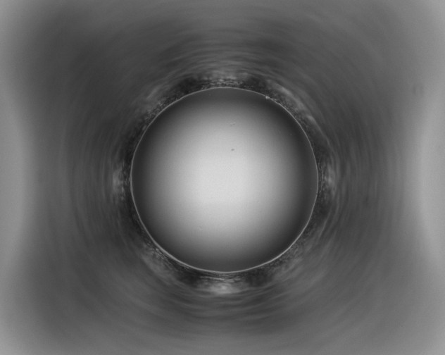 X0000116370663200912021154