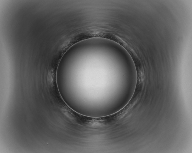 X0000116370664200912021154