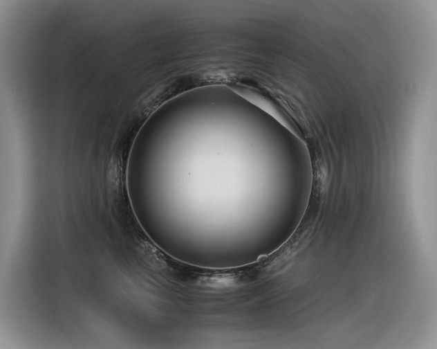 X0000116370665200912021154