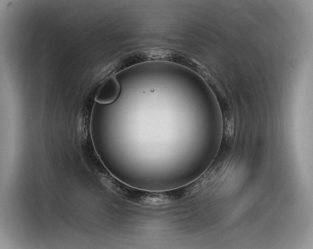 X0000116370666200912021154