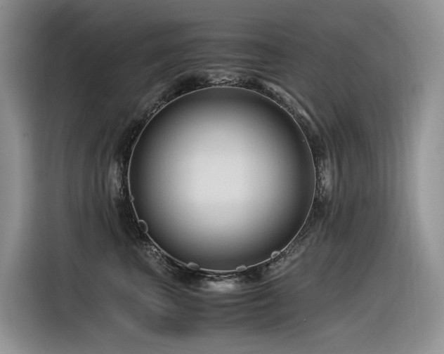 X0000116370667200912021154