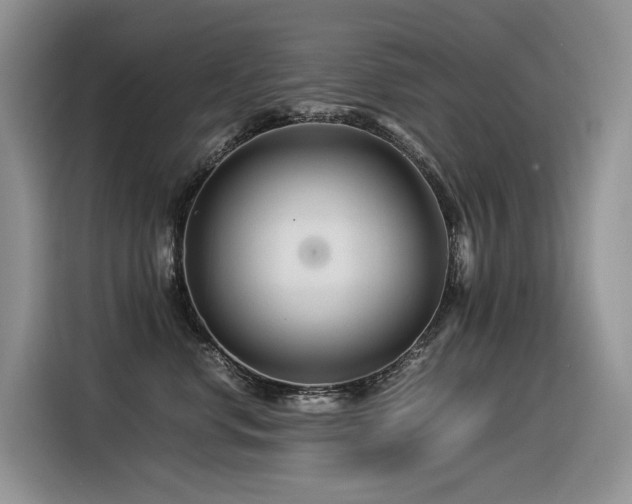 X0000116370668200912021154