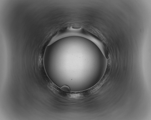 X0000116370669200912021154