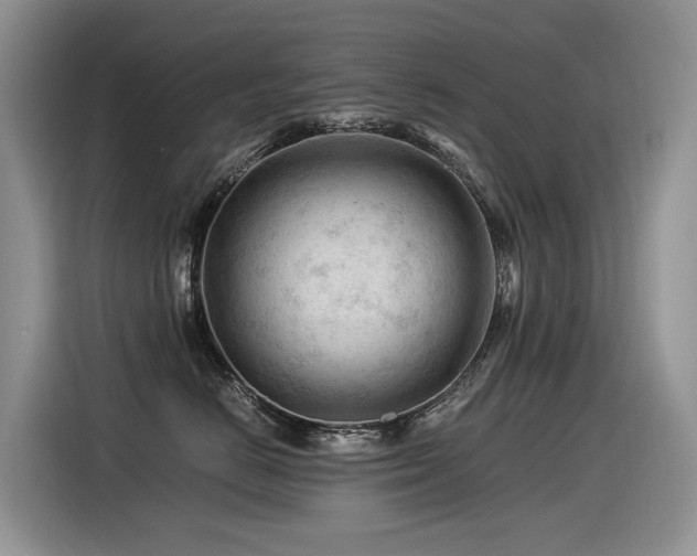 X0000116370670200912021154