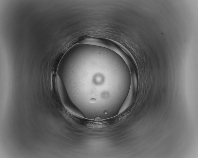X0000116370671200912021154