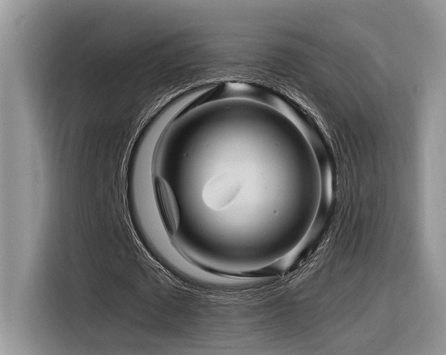 X0000116370673200912021154