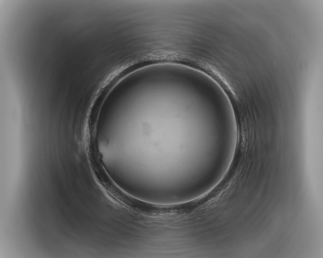 X0000116370674200912021154