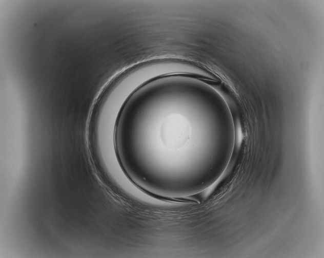X0000116370676200912021154