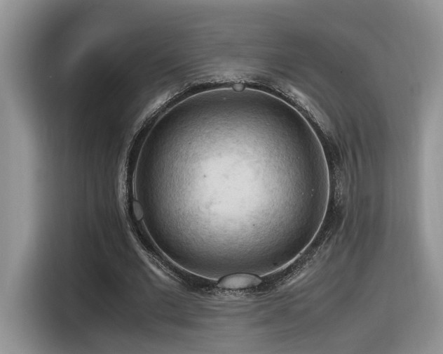 X0000116370677200912021154