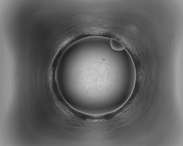 X0000116370679200912021154