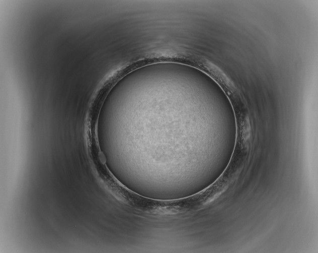 X0000116370680200912021154