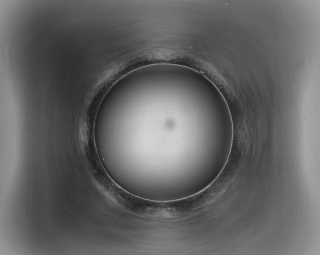 X0000116370683200912021154