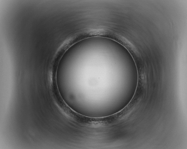 X0000116370686200912021154