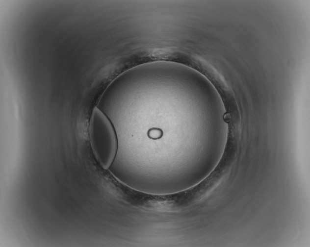 X0000116370689200912021154