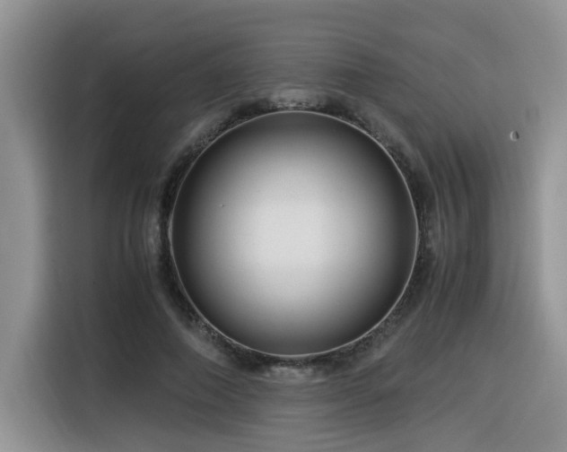 X0000116370690200912021154