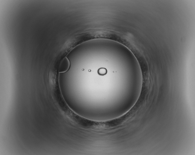 X0000116370695200912021154