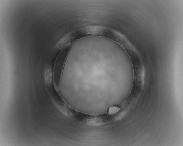X0000116370696200912021154