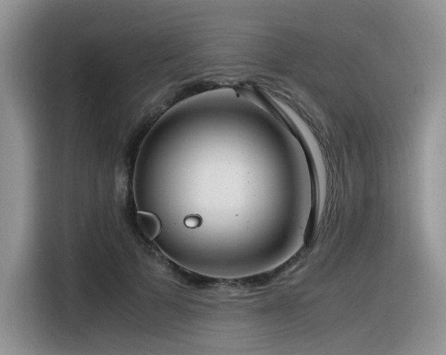 X0000116370697200912021154