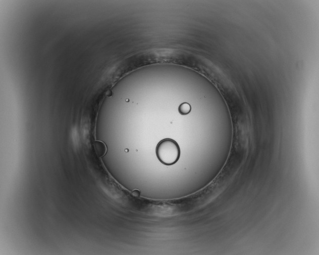 X0000116370698200912021154