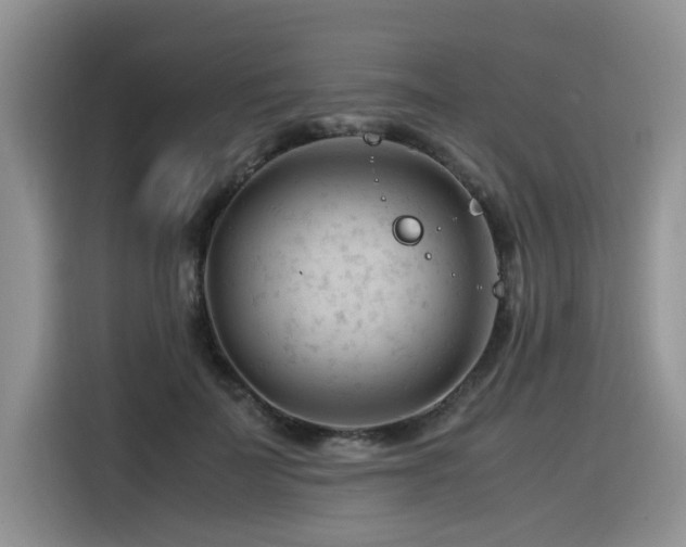 X0000116370699200912021154