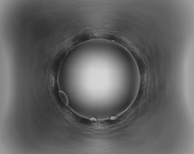 X0000116370703200912021153