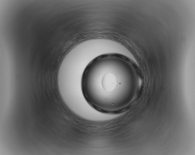X0000116370704200912021153