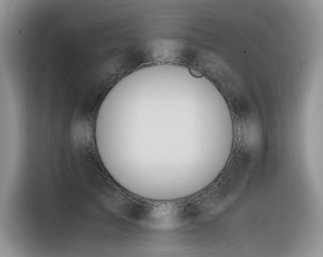 X0000116370705200912021153