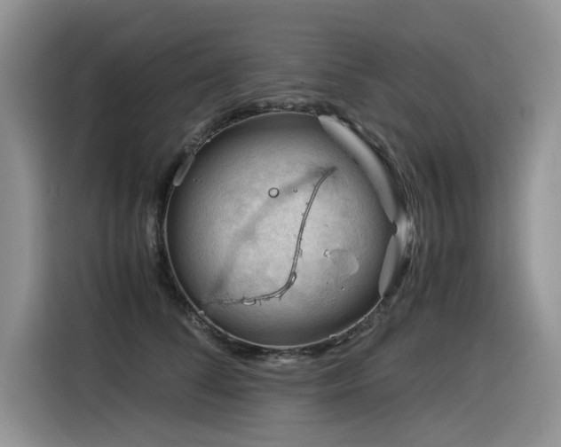X0000116370708200912021153